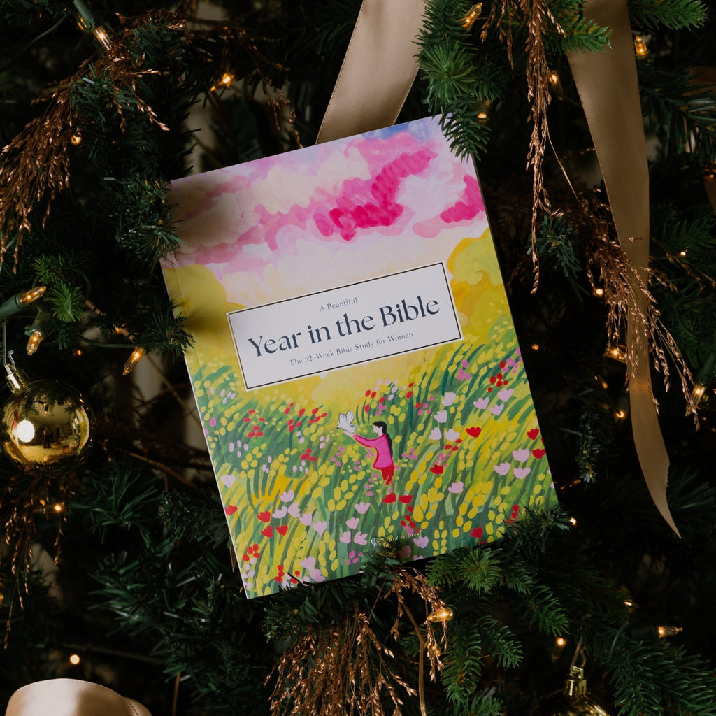 A Beautiful Year in the Bible Study™