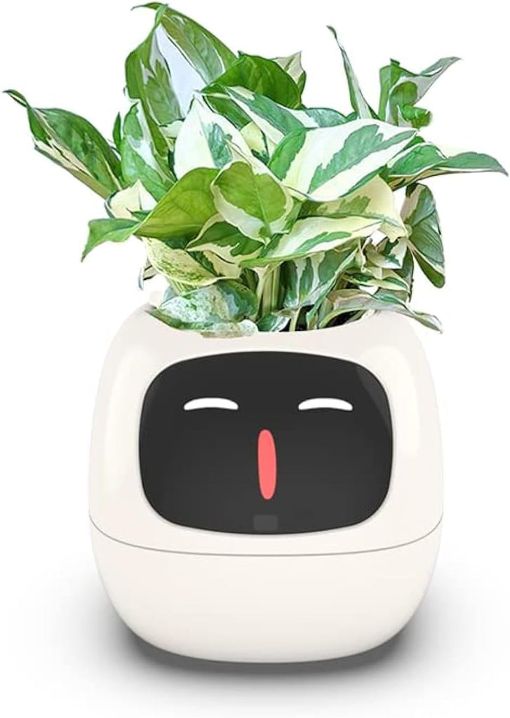 IVY Plant Robot