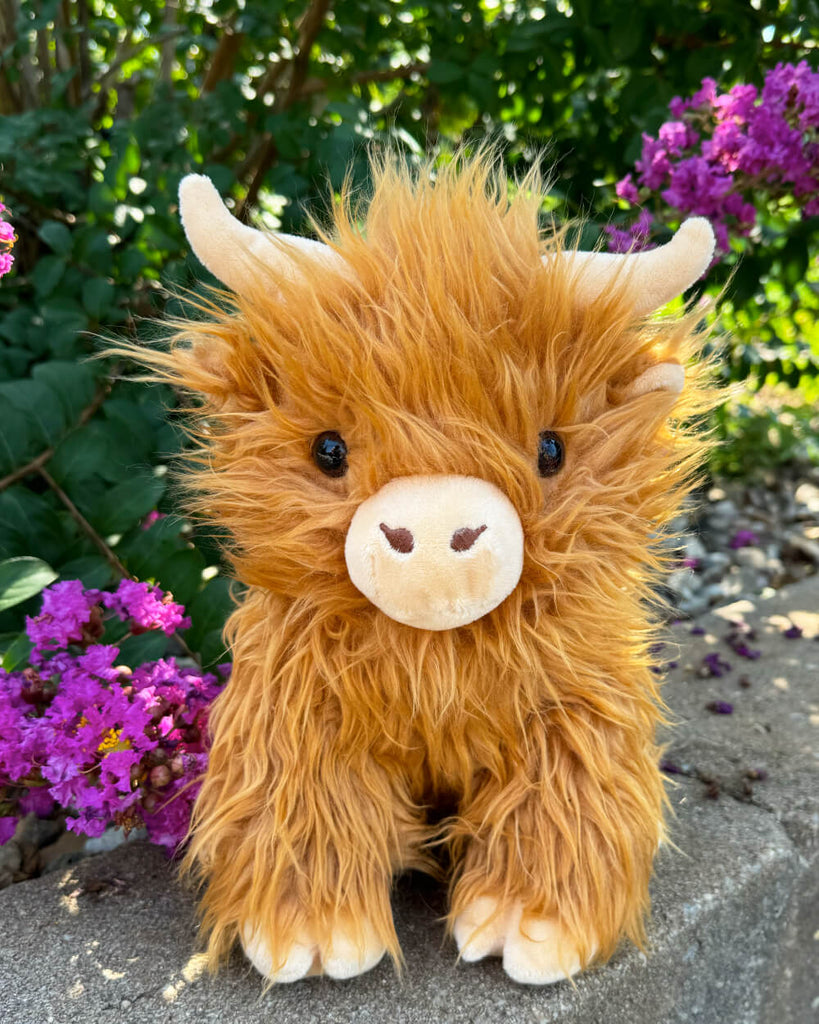 Helena the Highland Cow