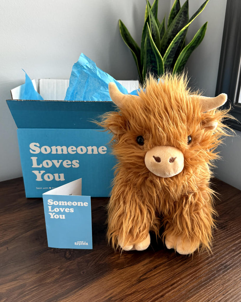 Helena the Highland Cow