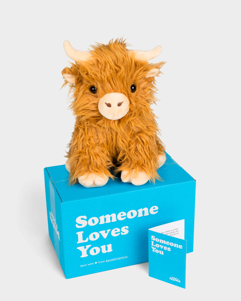 Helena the Highland Cow