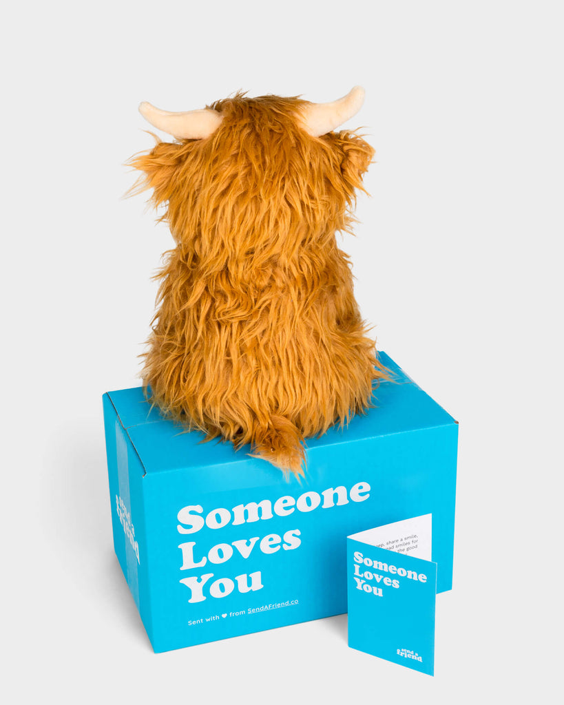 Helena the Highland Cow
